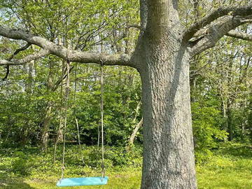 Chambre Chez L'habitant Roquetoire 362747-12