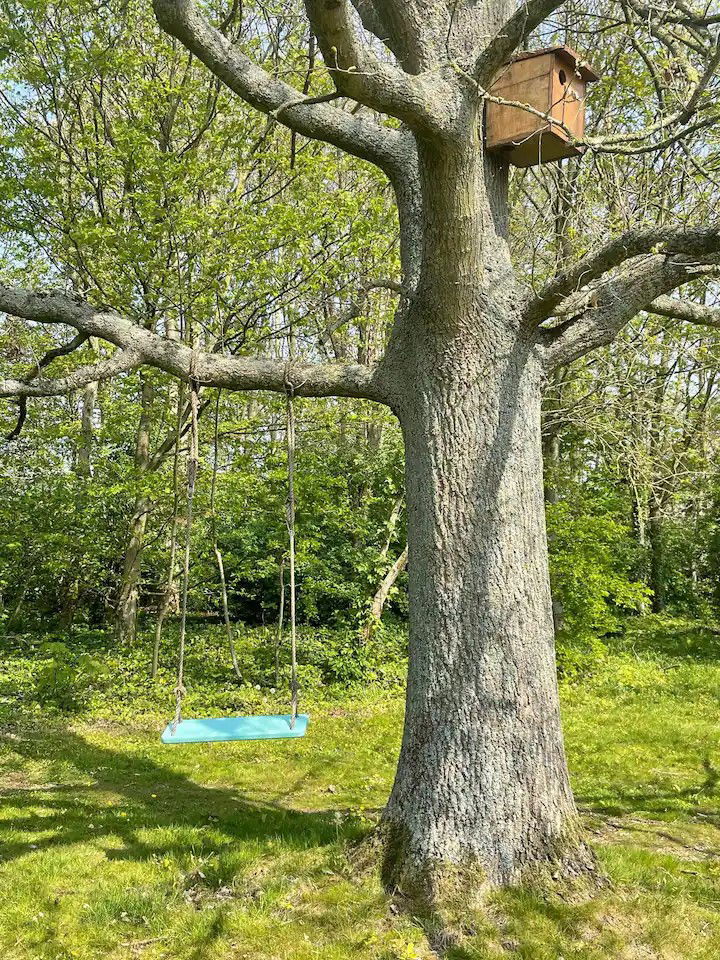 Gastfamilie Roquetoire 362747