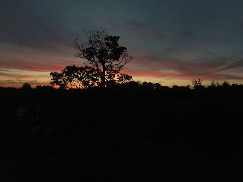 Gastfamilie Willesborough 187966-3