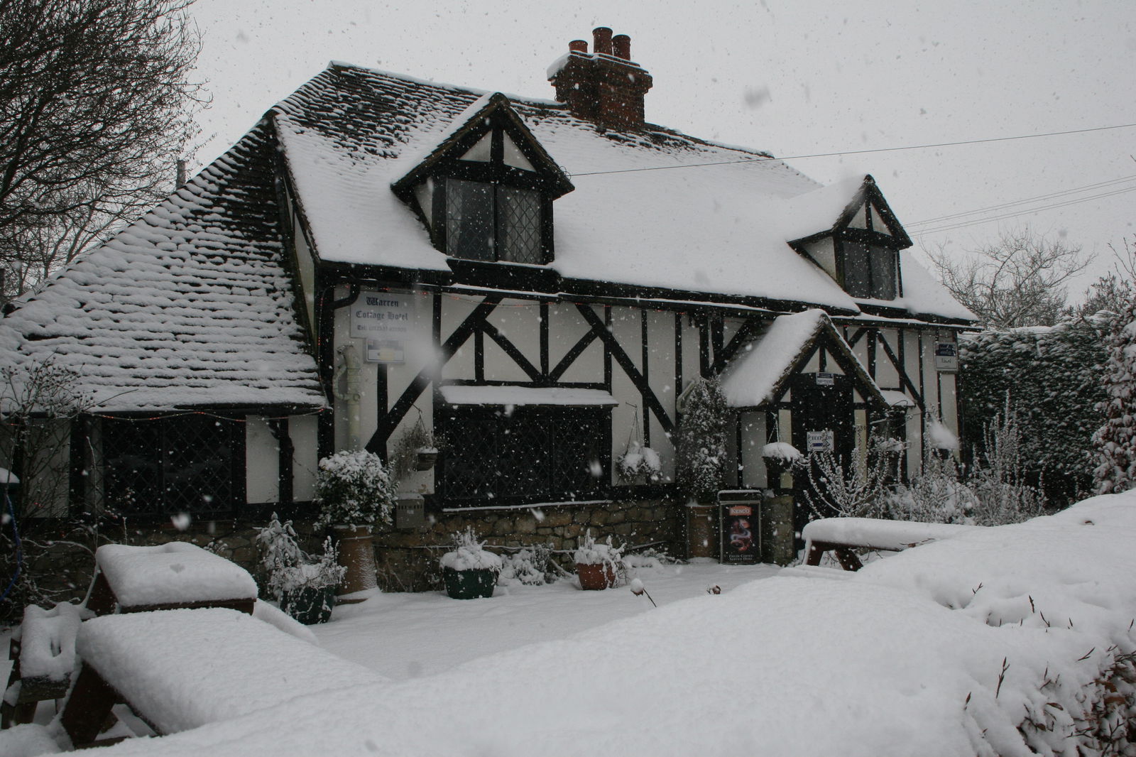 Gastfamilie Willesborough 187966