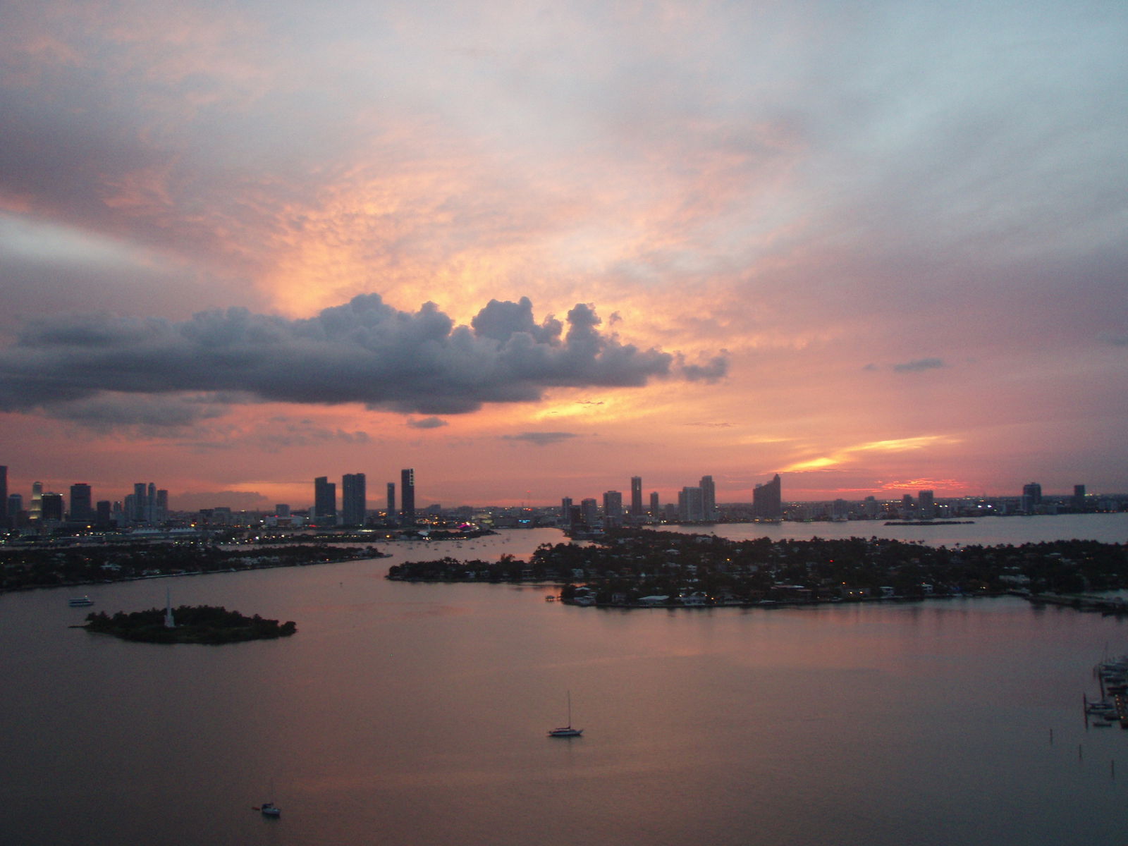 Kolokasie Miami Beach 110431