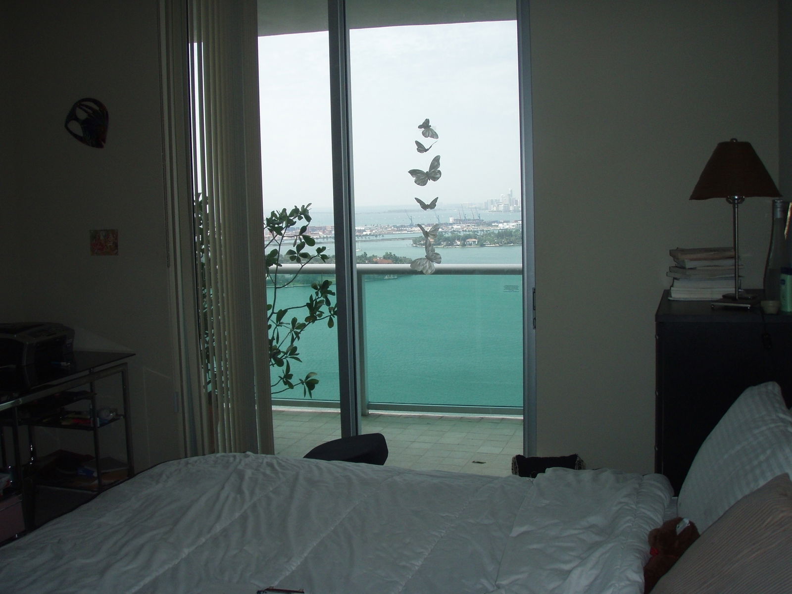 Colocation Miami Beach 110431