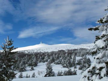 Chambre D'hôte Flassan 35647-4