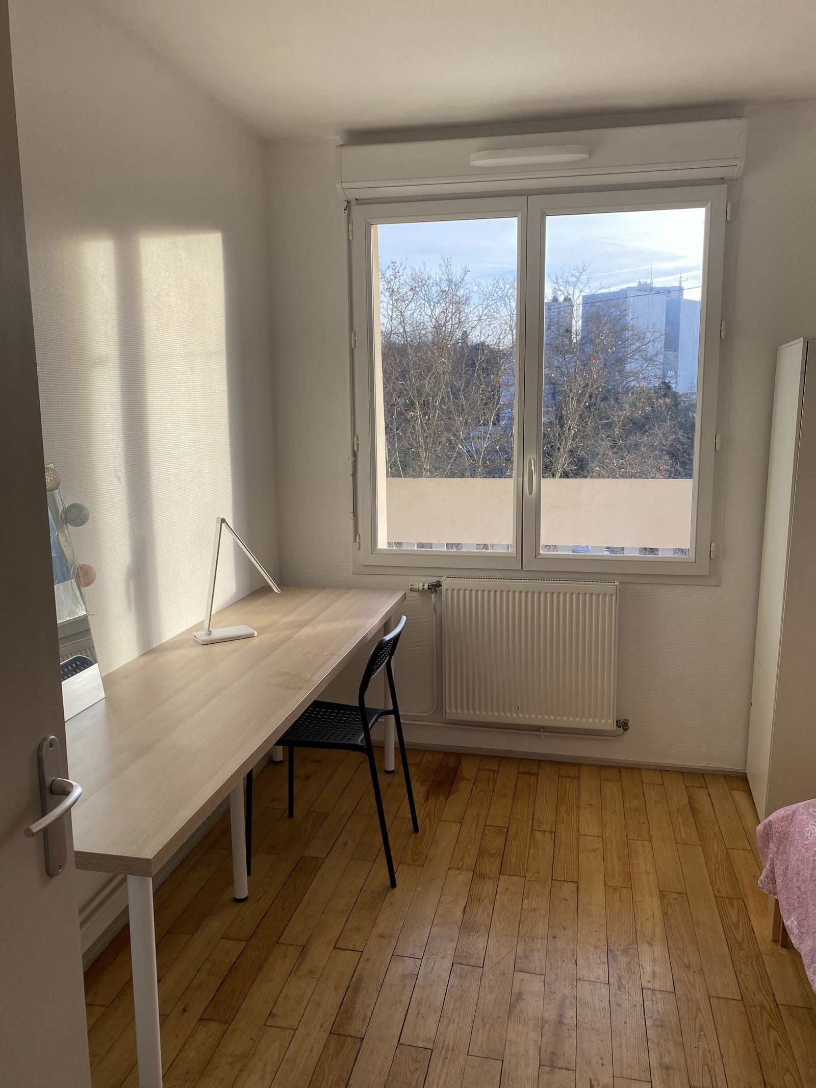 Homestay Lyon 382254