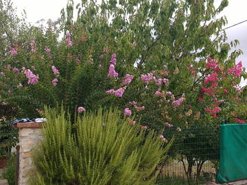 Chambre Chez L'habitant Le Sequestre 65146-6