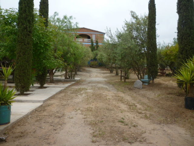 Gastfamilie Playa Ensenada 31009