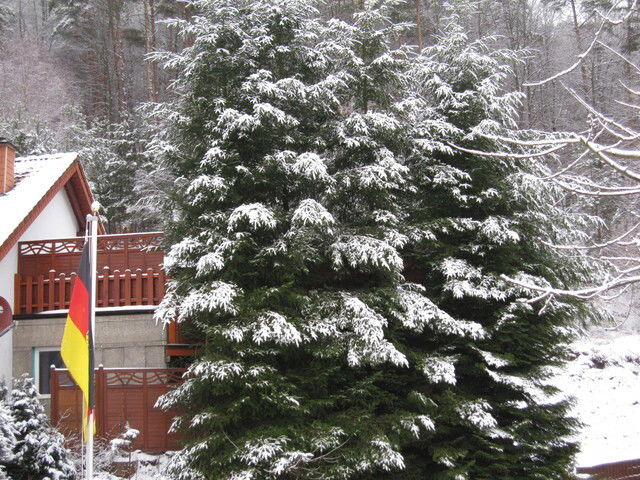 Bed And Breakfast Wilgartswiesen 56274