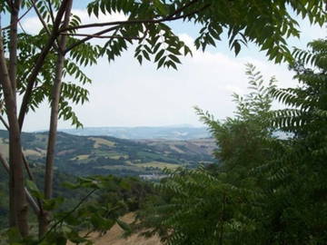 Chambre D'hôte Belvedere Fogliense 54778-4