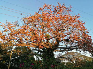 Habitación De Invitados Manicaragua 219242-7