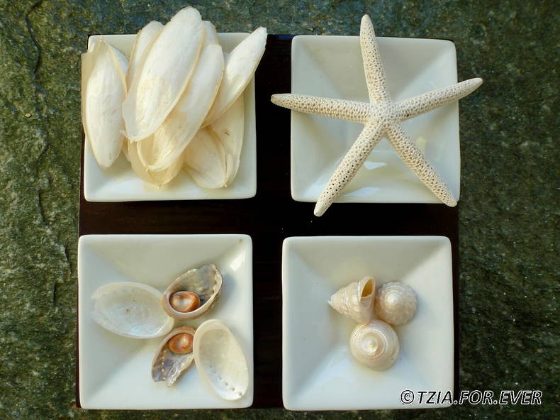 Gästezimmer Kea 132725-3