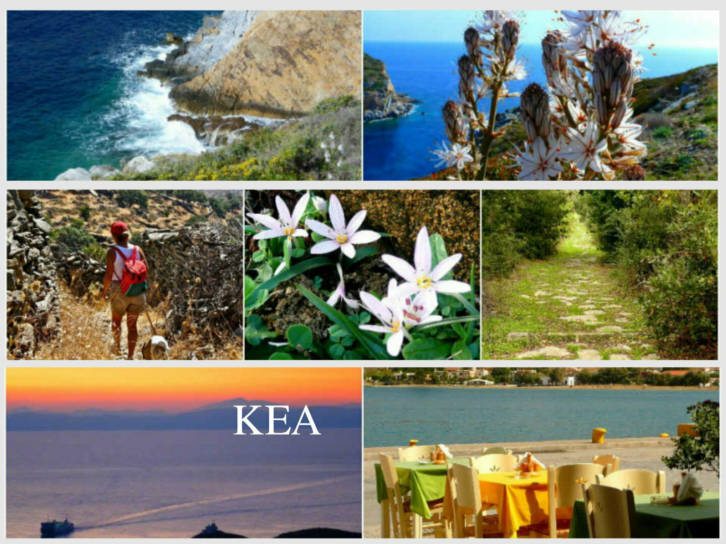 Bed And Breakfast Kea 132725