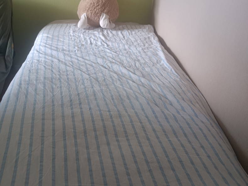 Gastfamilie Chalon-sur-Saône 261930-1