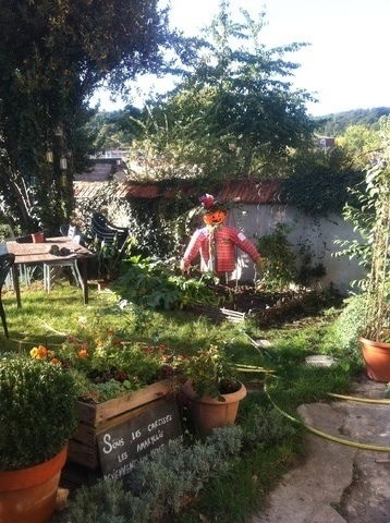 Homestay Périgueux 51664