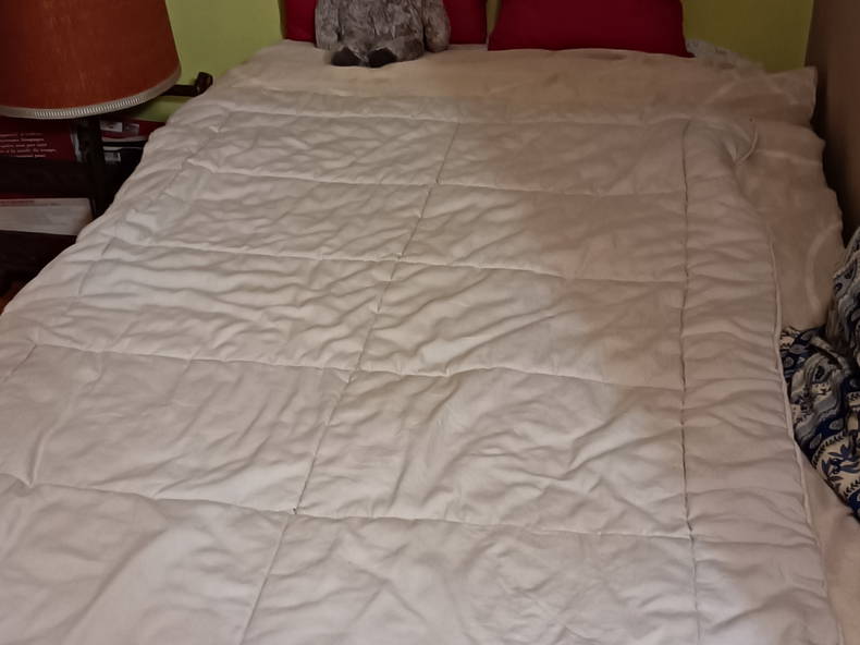 Chambre Chez L'habitant Chalon-sur-Saône 255416-3