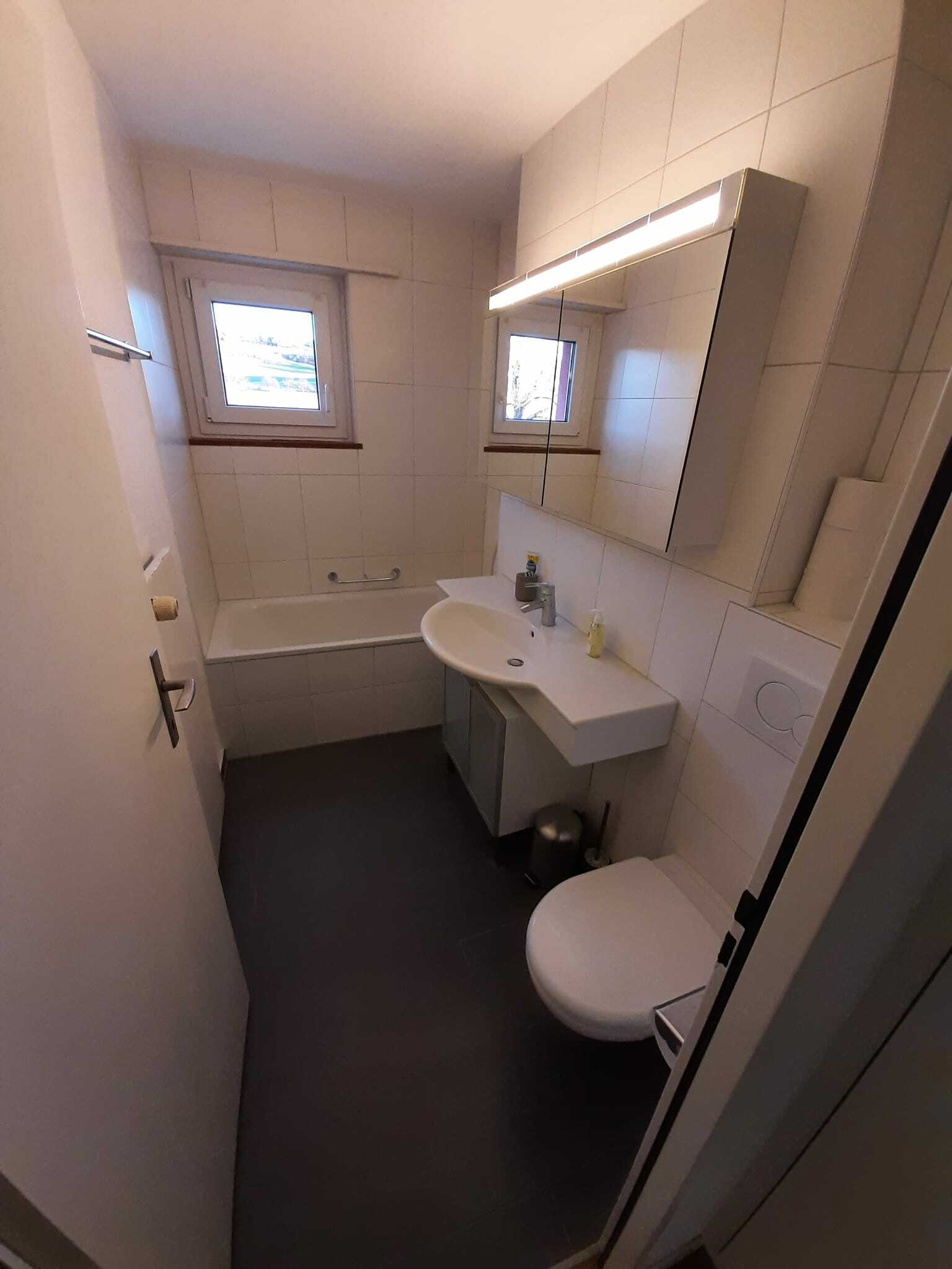Collocazione Greng 256338
