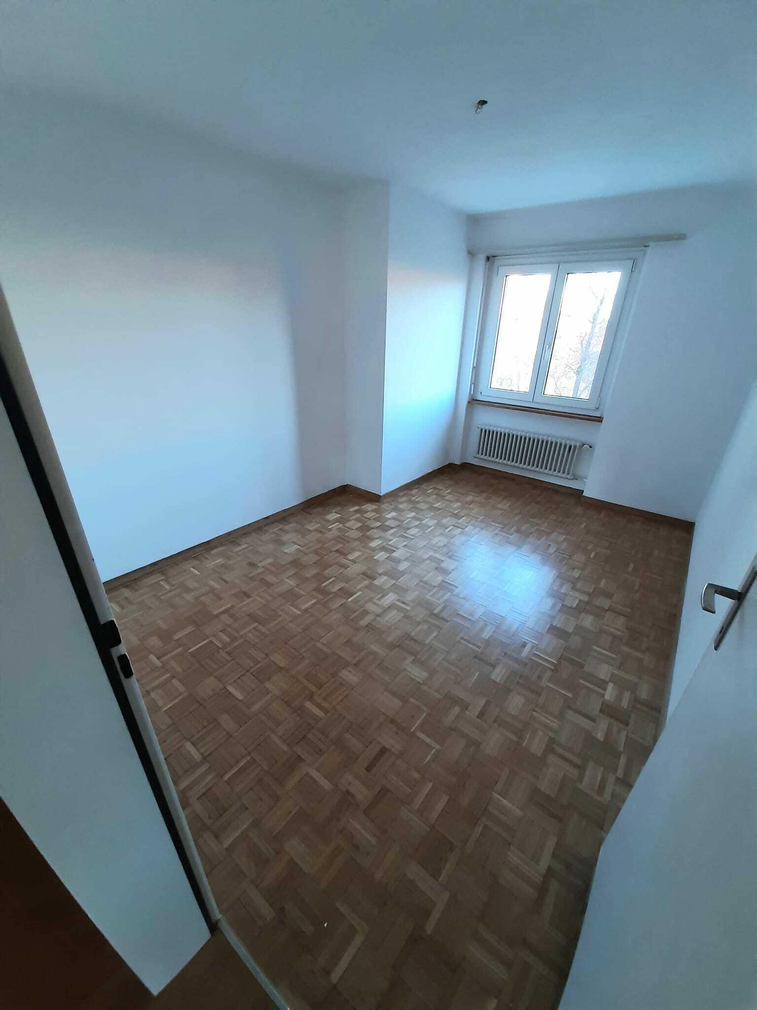 Collocazione Greng 256338