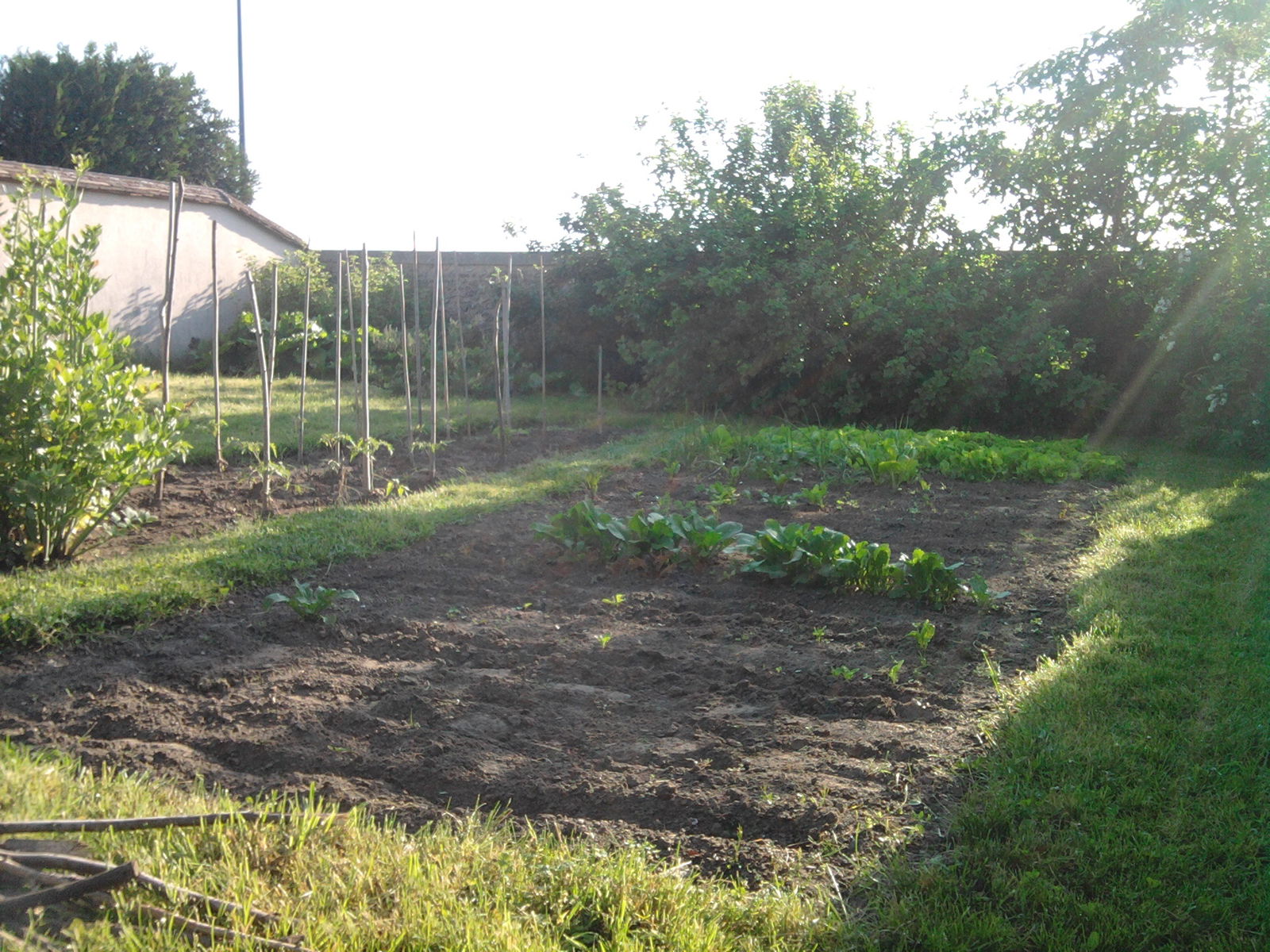 Kolokation Civry-la-Forêt 90096