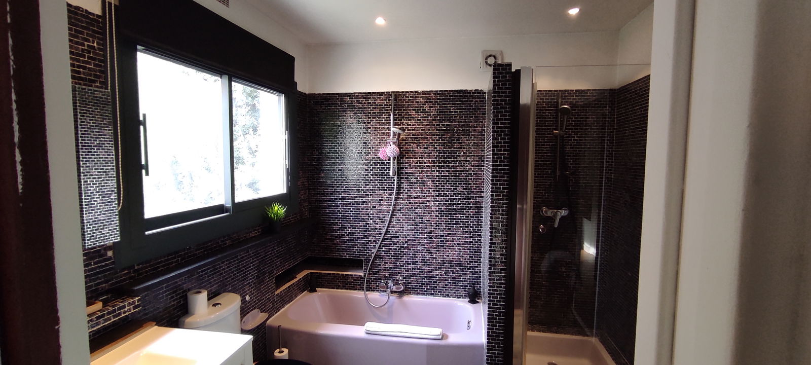 Kolokation Le Pradet 257117