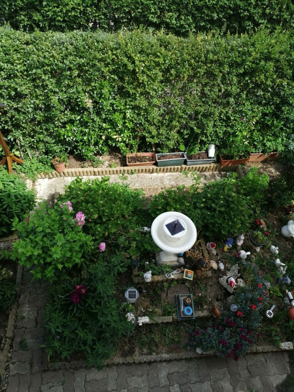 Gastfamilie Courdimanche 236903