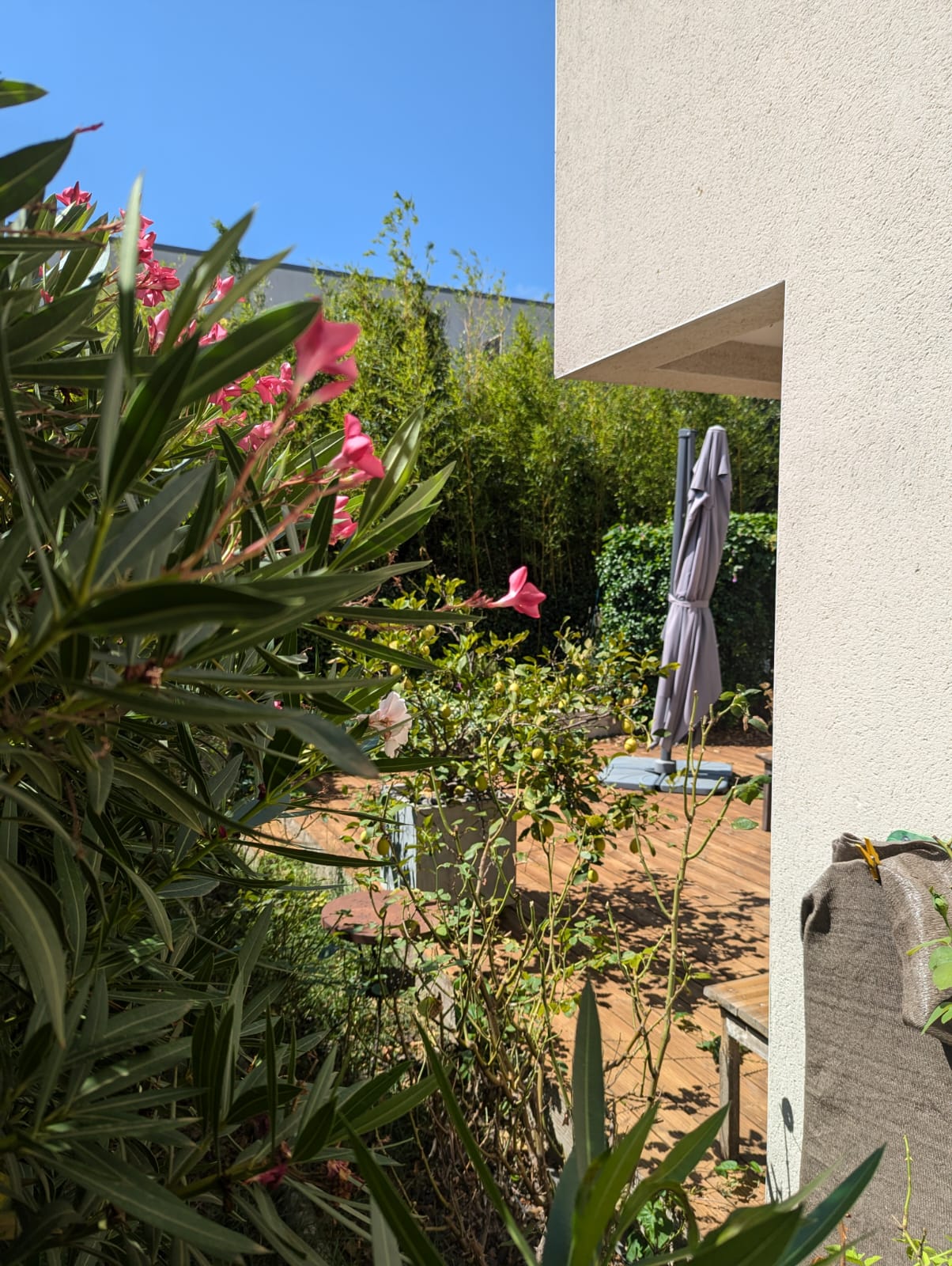 Gastfamilie Montpellier 78050