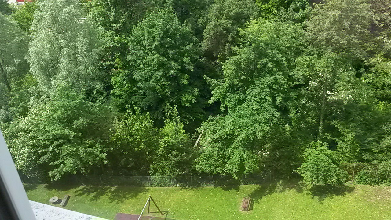 Gastfamilie Lausanne 101601