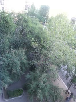 Gastfamilie Barcelona 106784