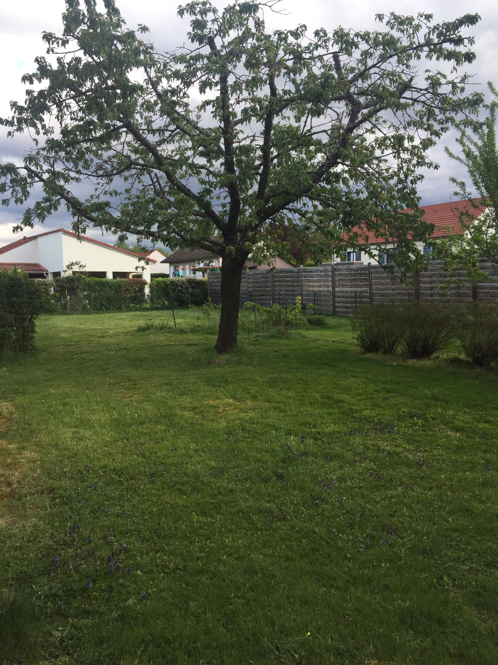 Gastfamilie Bellerive-sur-Allier 128880