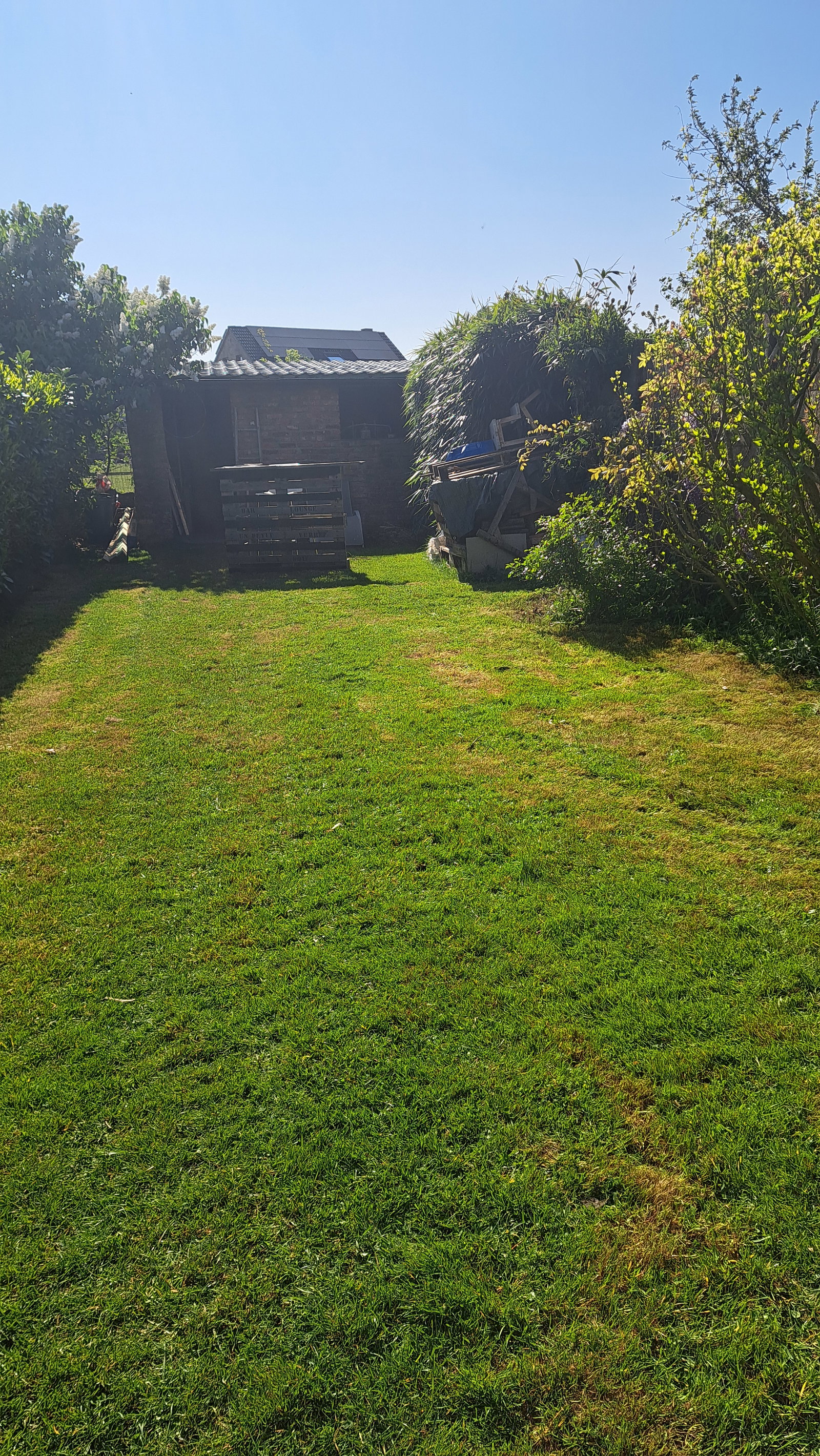 Gastfamilie Braine-le-Comte 209559