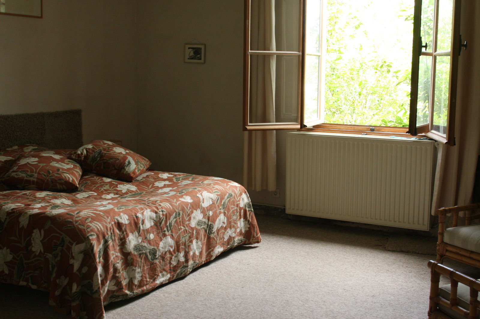 Kolokation Bourdonné 229386