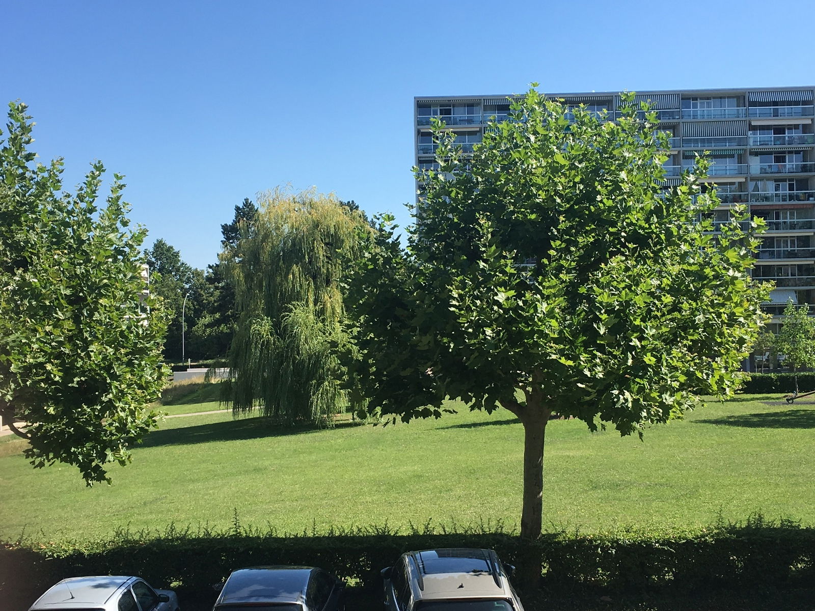 Gastfamilie Meyrin 234101