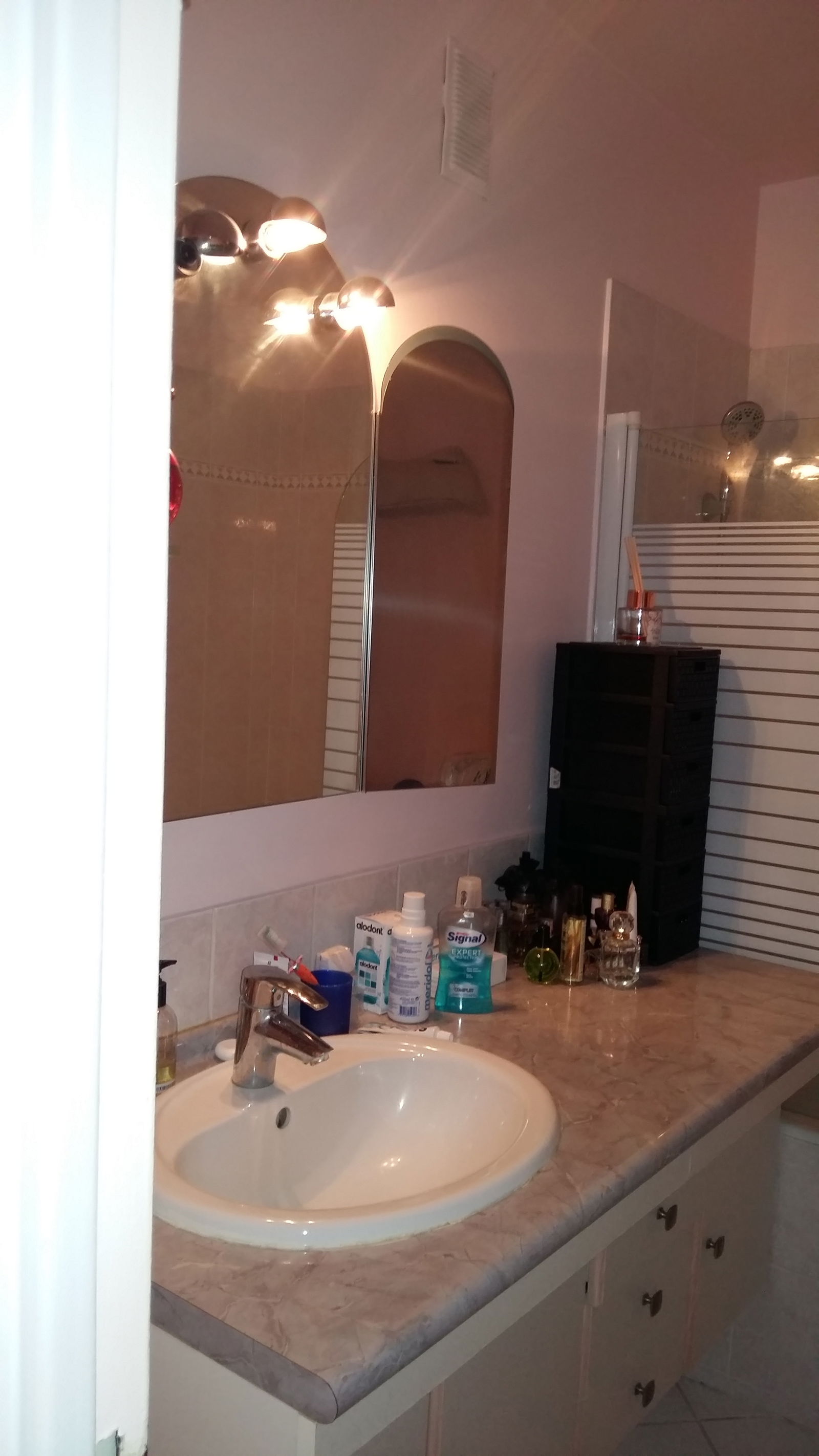 Gastfamilie Bougival 251508