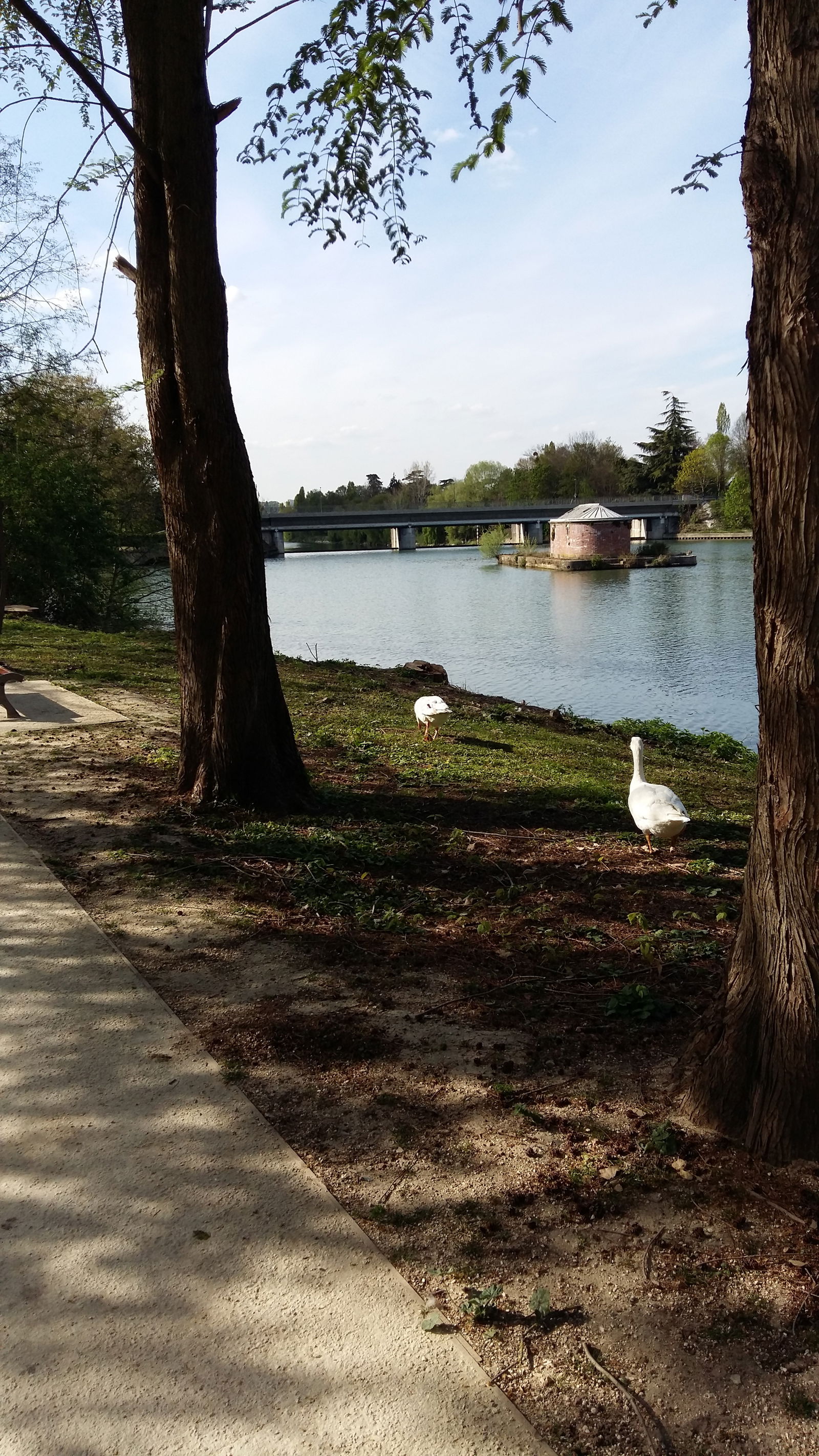 Gastfamilie Bougival 251508