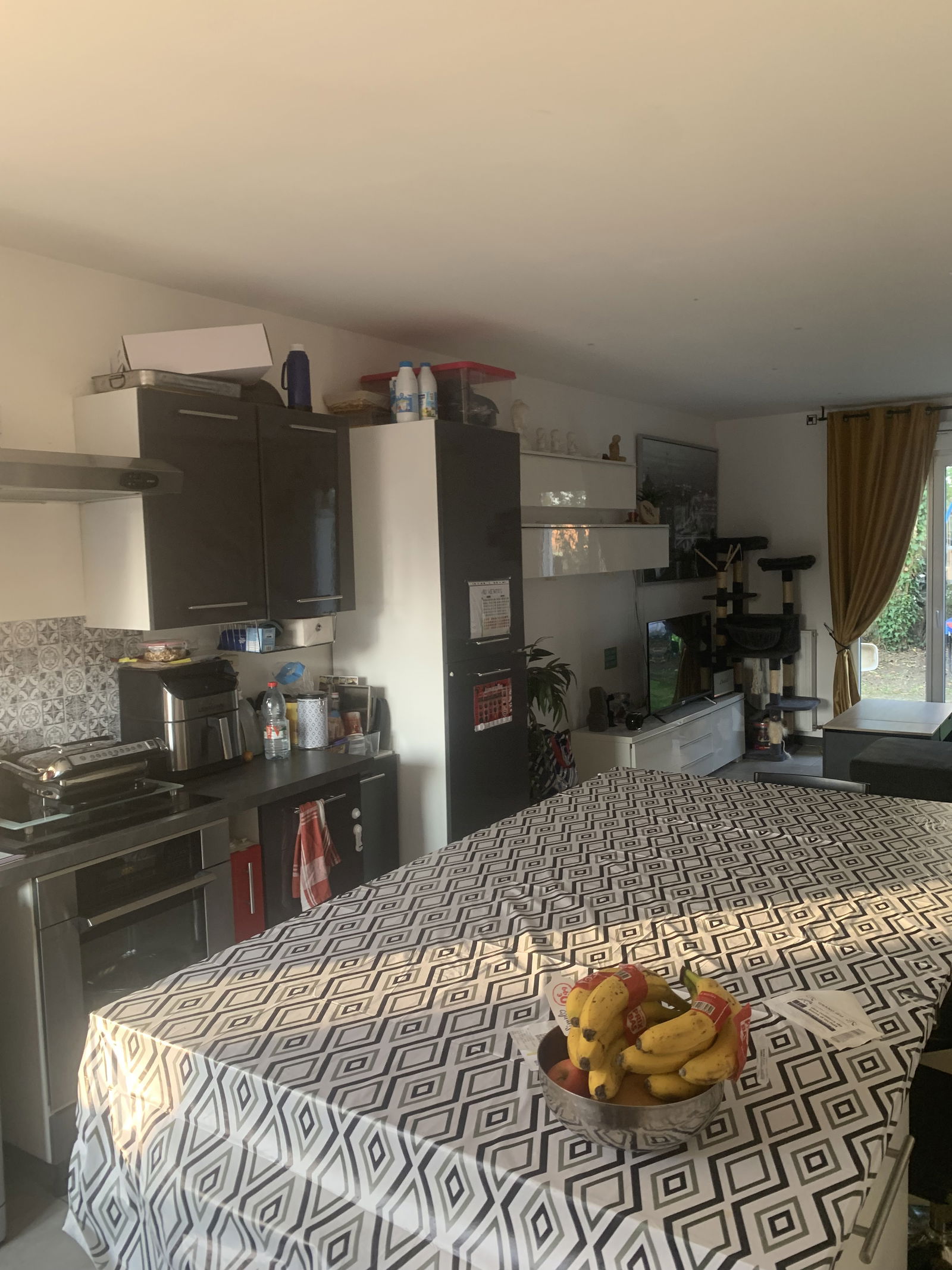 Gastfamilie Plaisance-du-Touch 256029