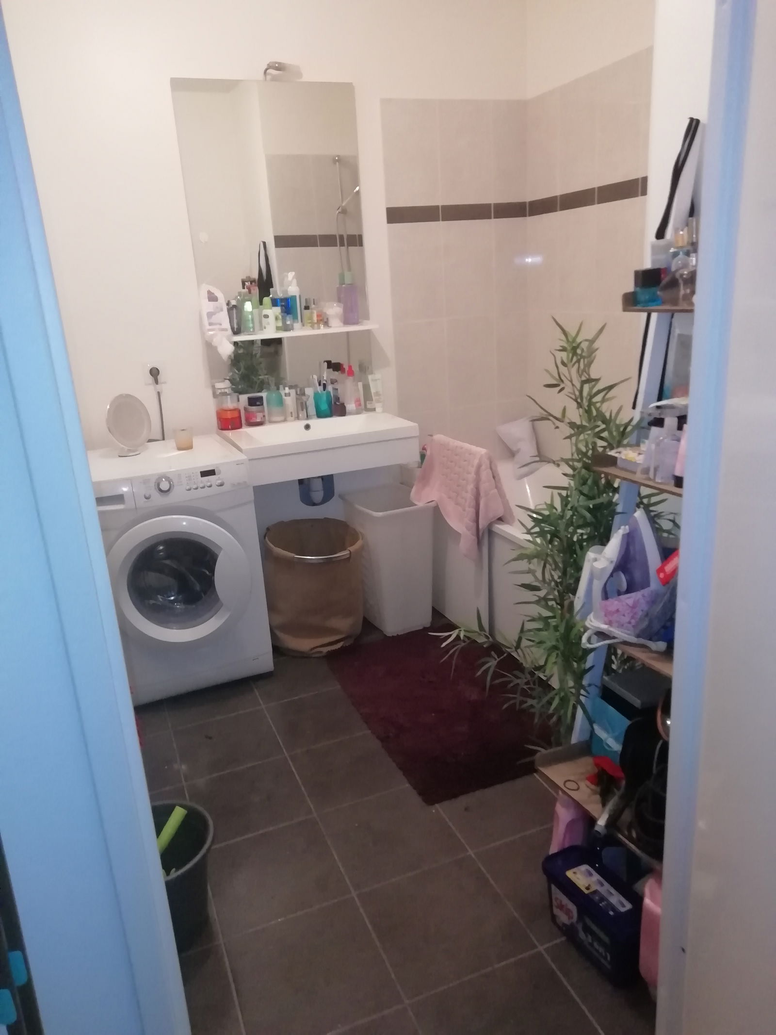 Kolokation Le Mée-sur-Seine 256685