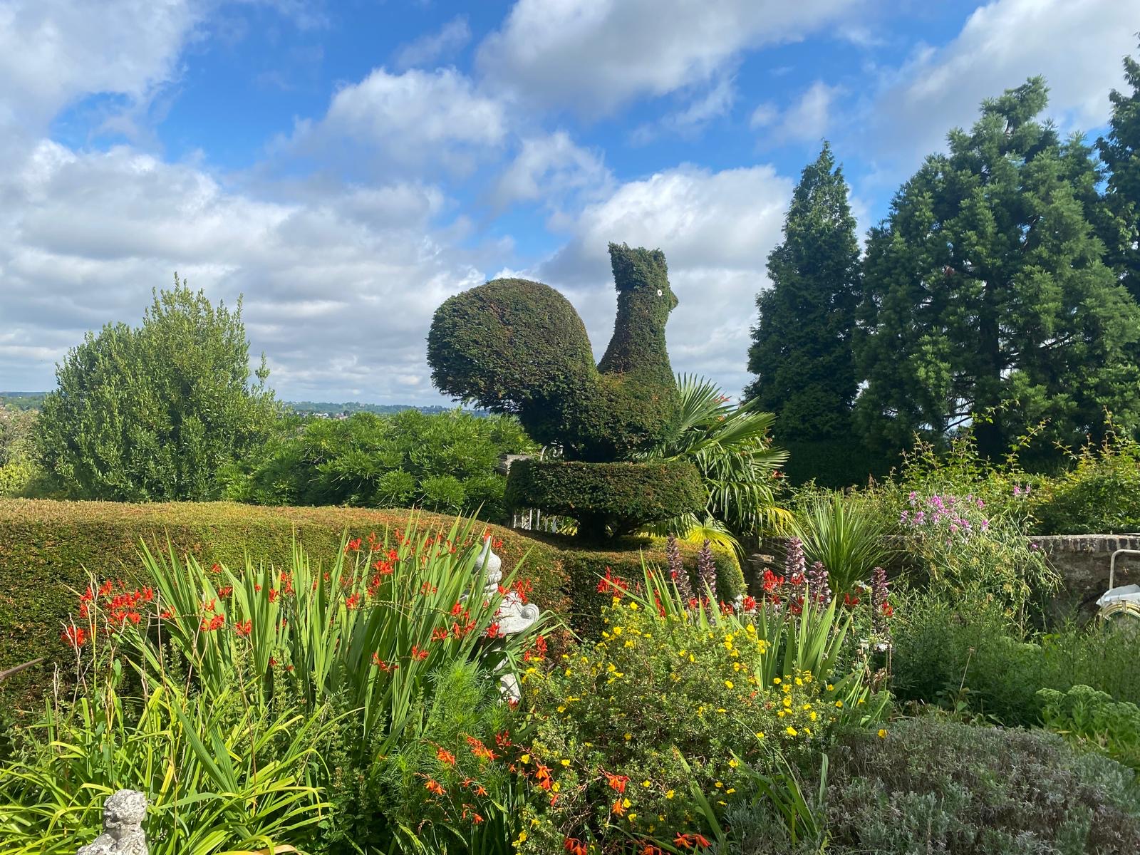 Kolokation Huy 272668