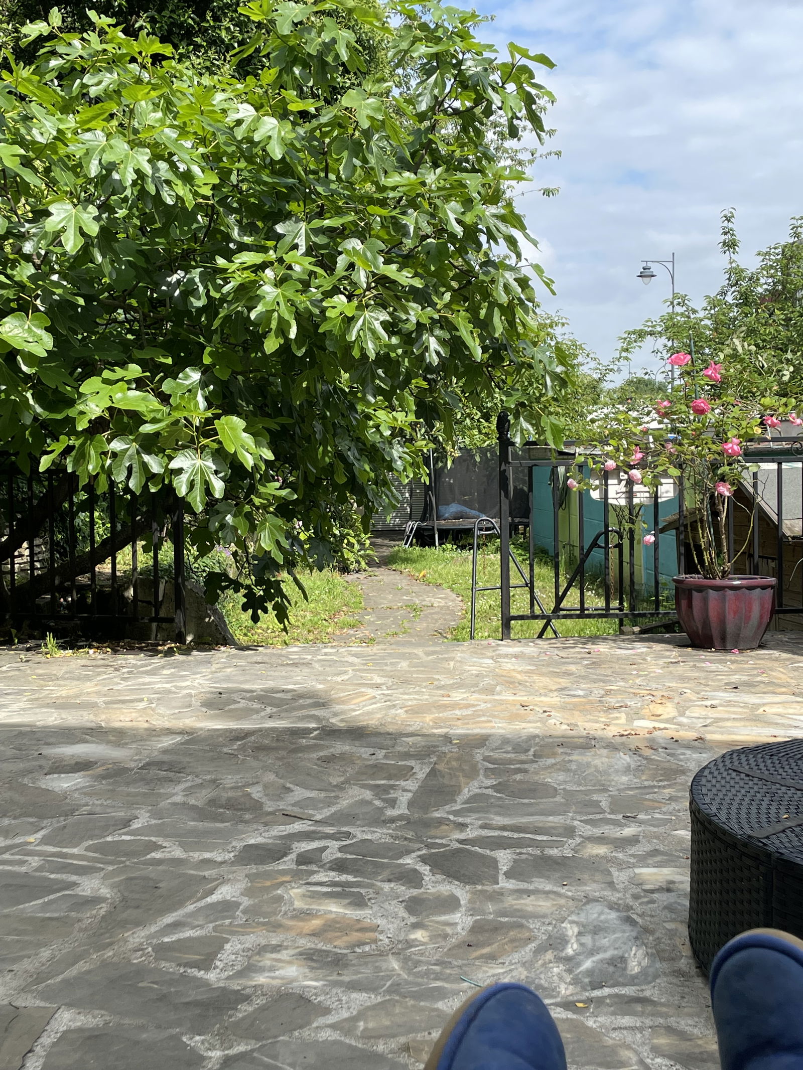 Gastfamilie Maisons-Alfort 408079