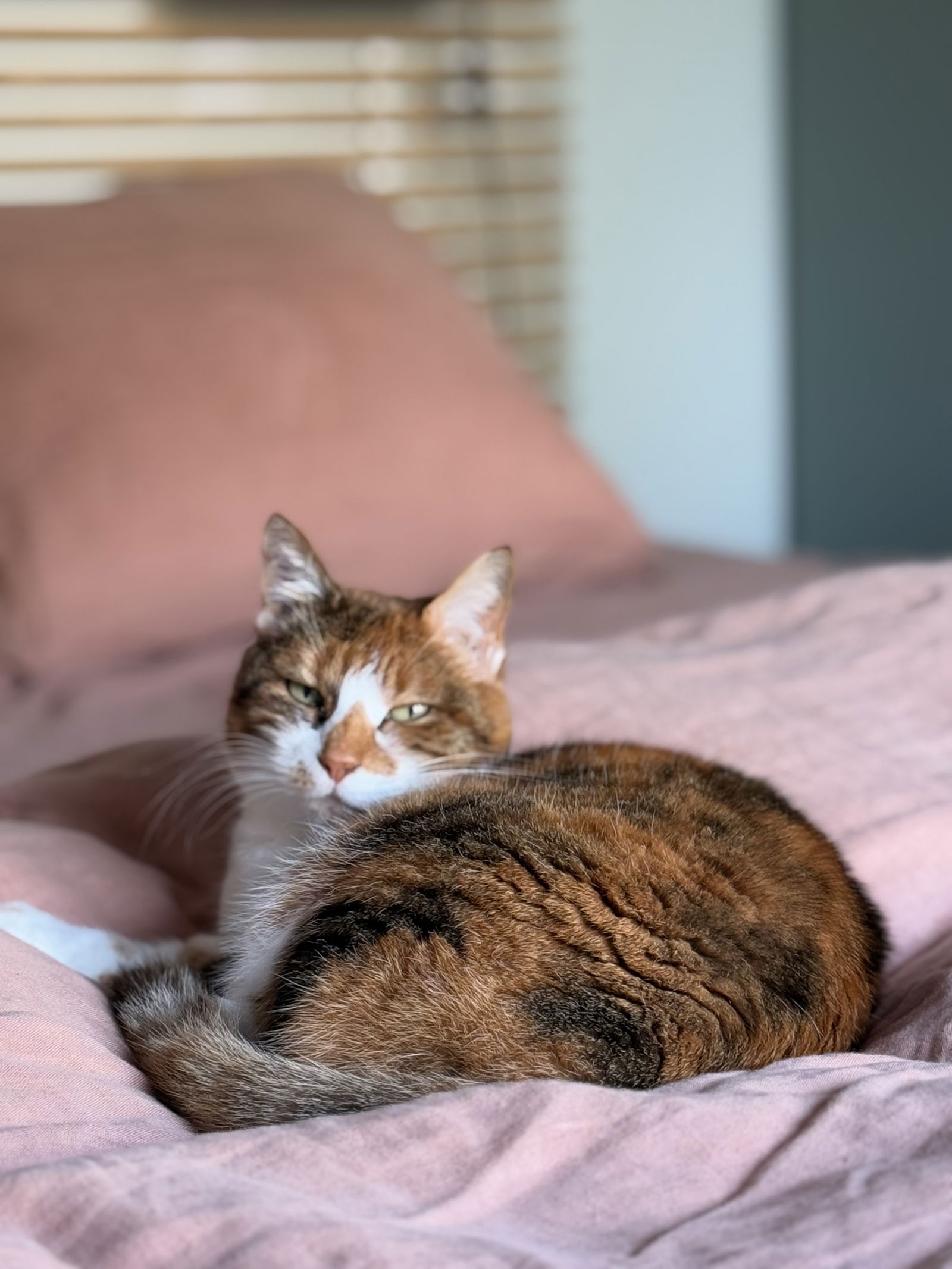 Gastfamilie Castres 465160