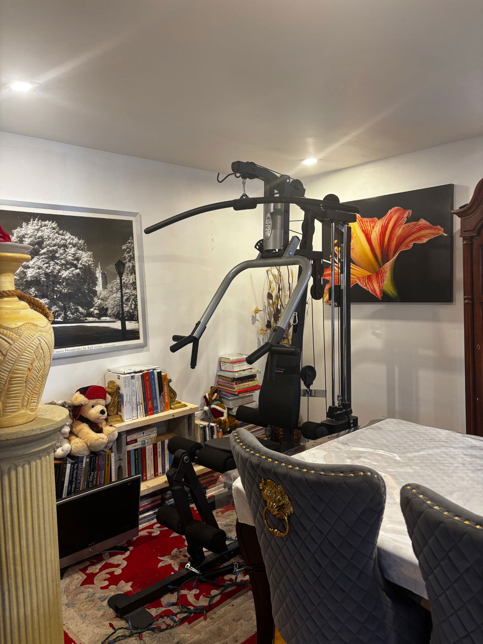 Gastfamilie Longueuil 508388