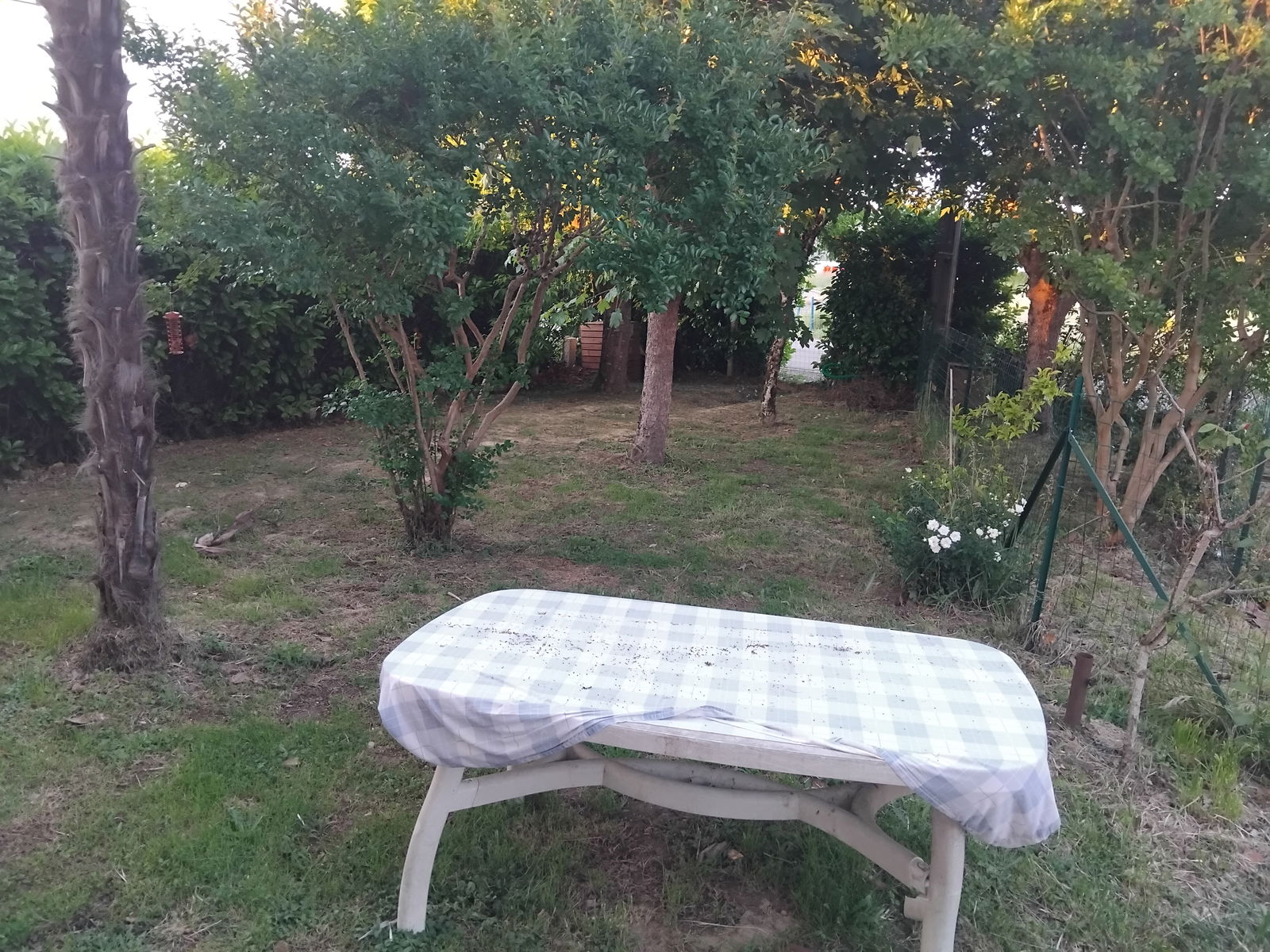 Gastfamilie Saint-Nauphary 529364