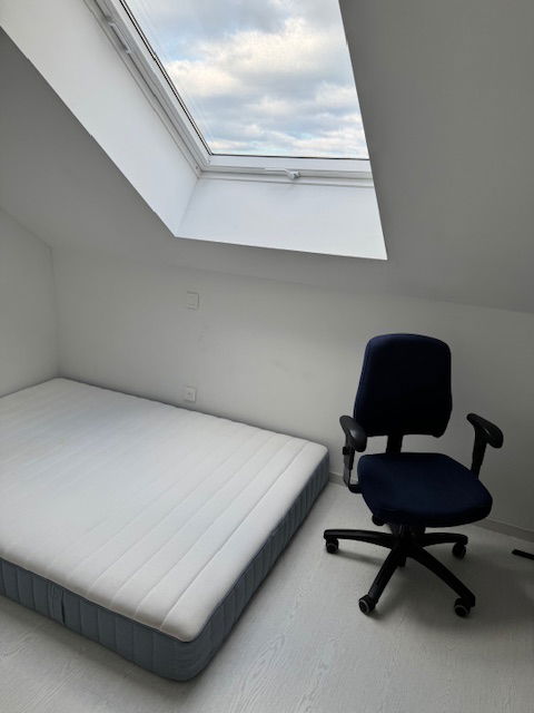 Kolokation Arlon 650063