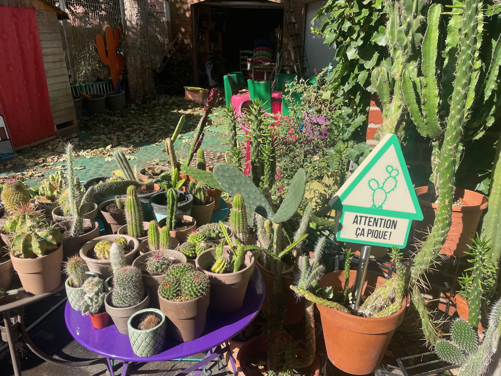 Gastfamilie Douai 658091