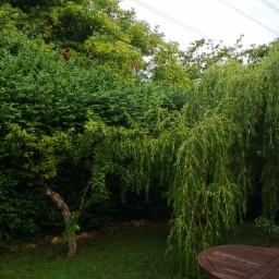 Gastfamilie Roissy-en-Brie 636701