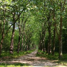 Gastfamilie Roissy-en-Brie 636701