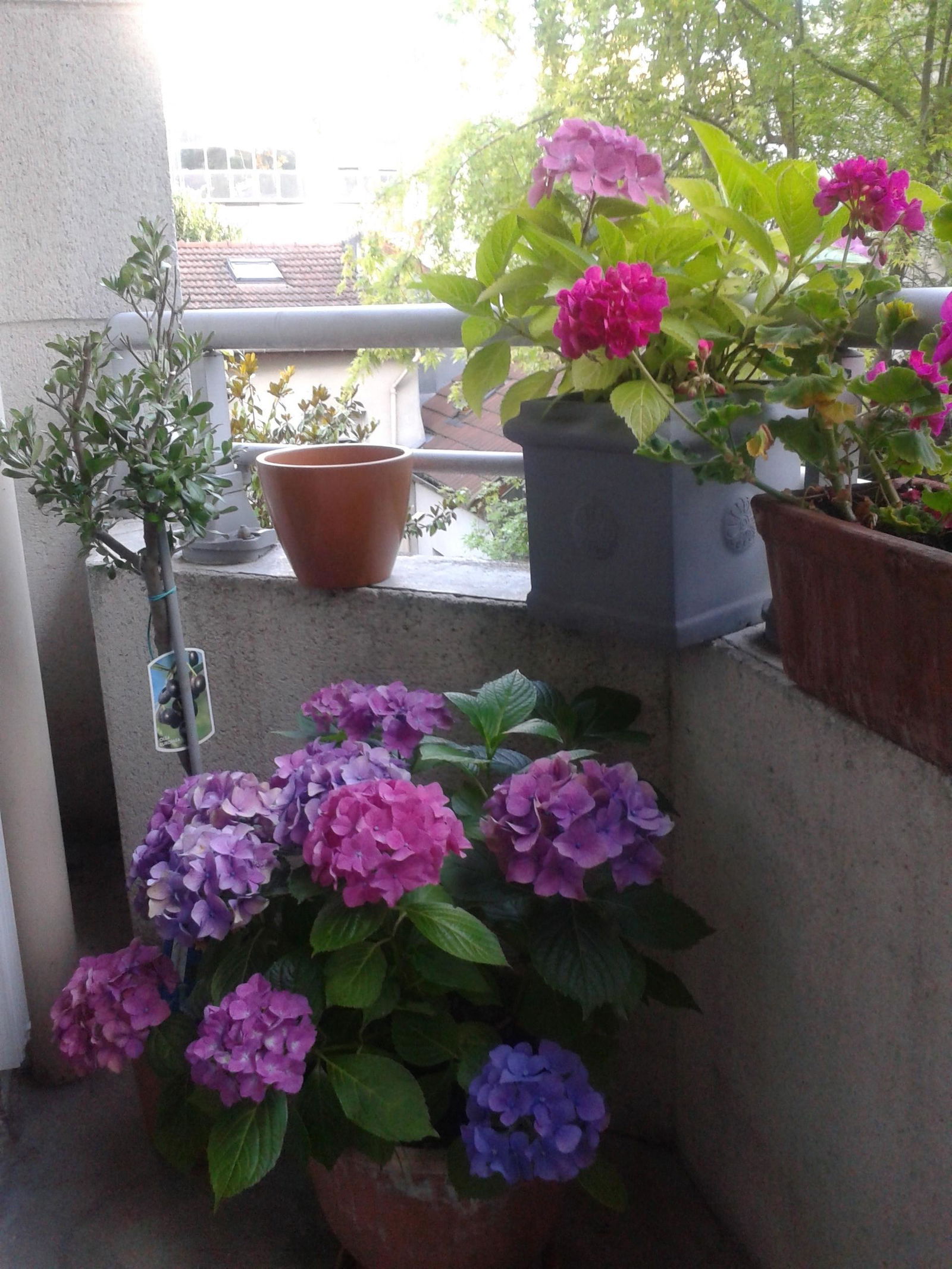 Gastfamilie Chaville 87734
