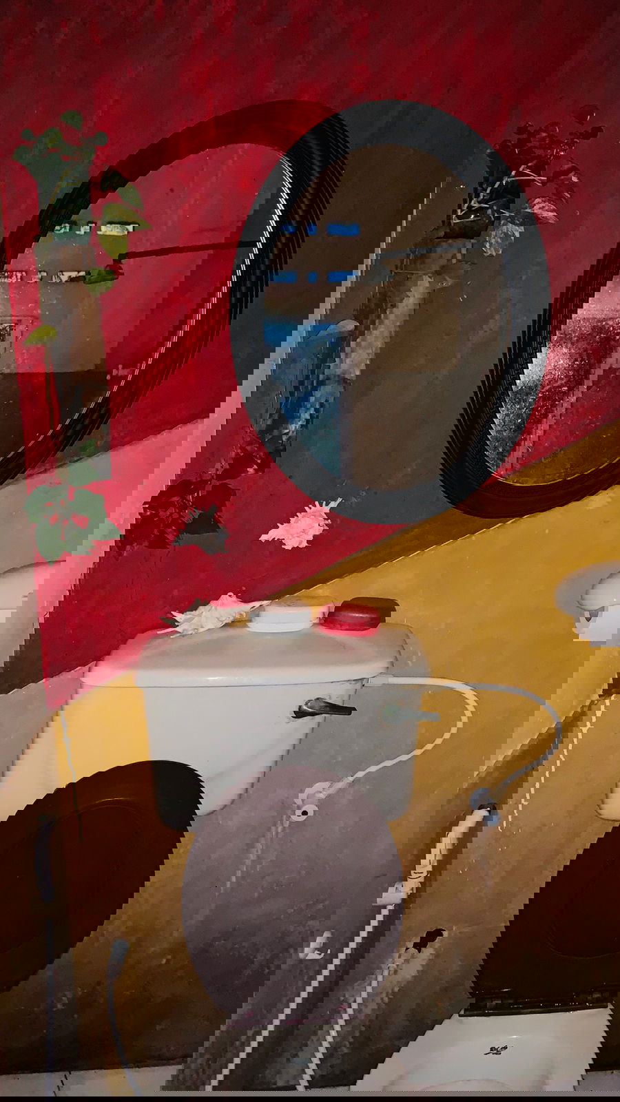 Gastfamilie Ragama 264209