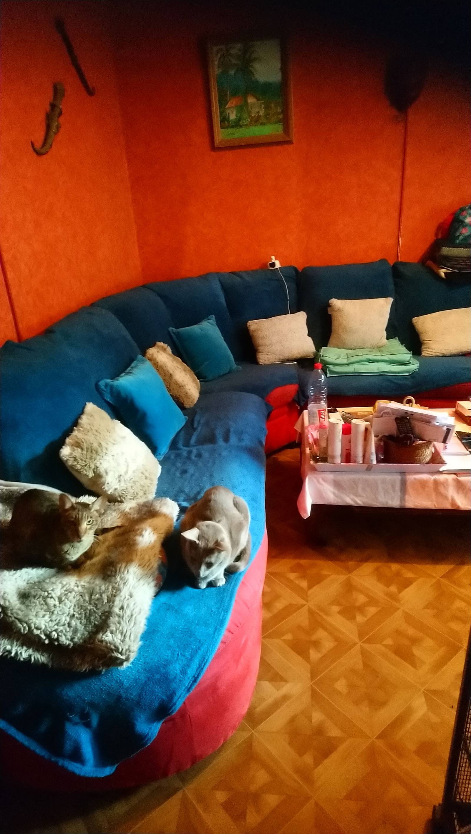 Gastfamilie La Chapelle-Saint-Mesmin 182532