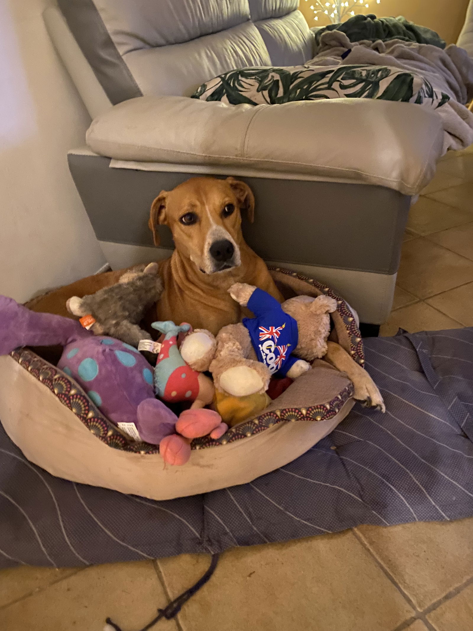 Gastfamilie Aix-en-Provence 462153