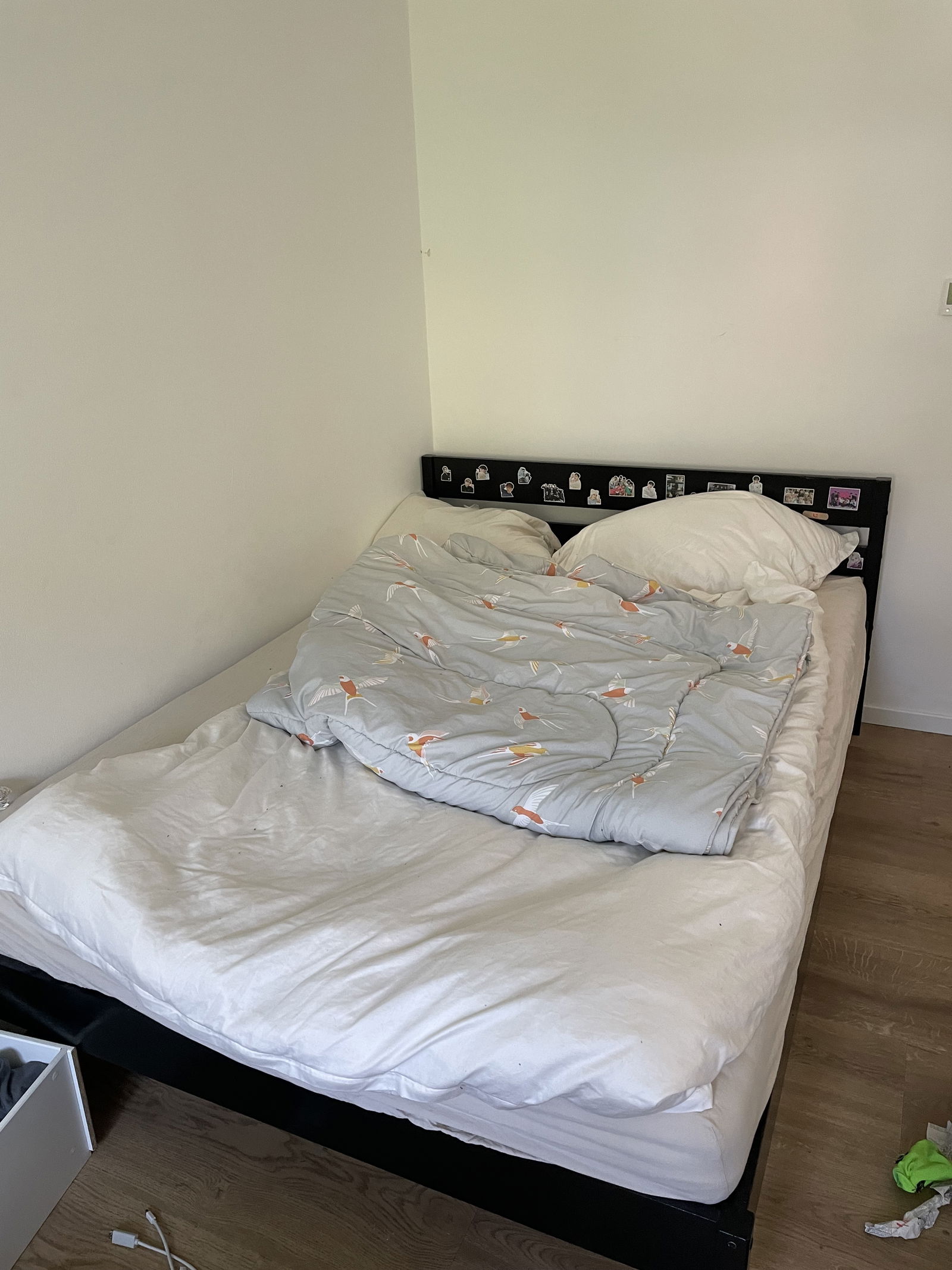 Hospedagem Em Casa De Família Dittingen 405949