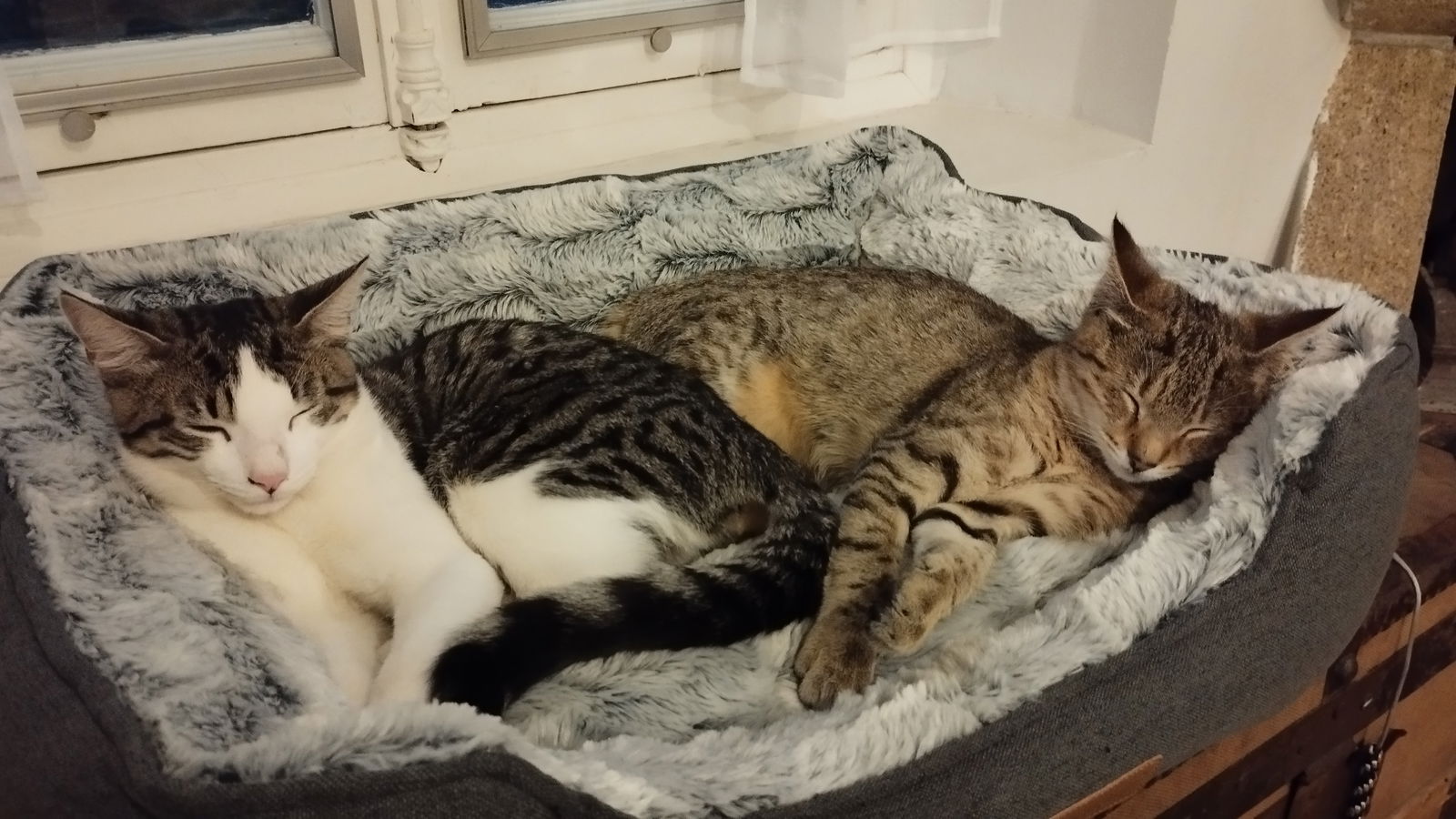 Zusammenleben Draveil 658369