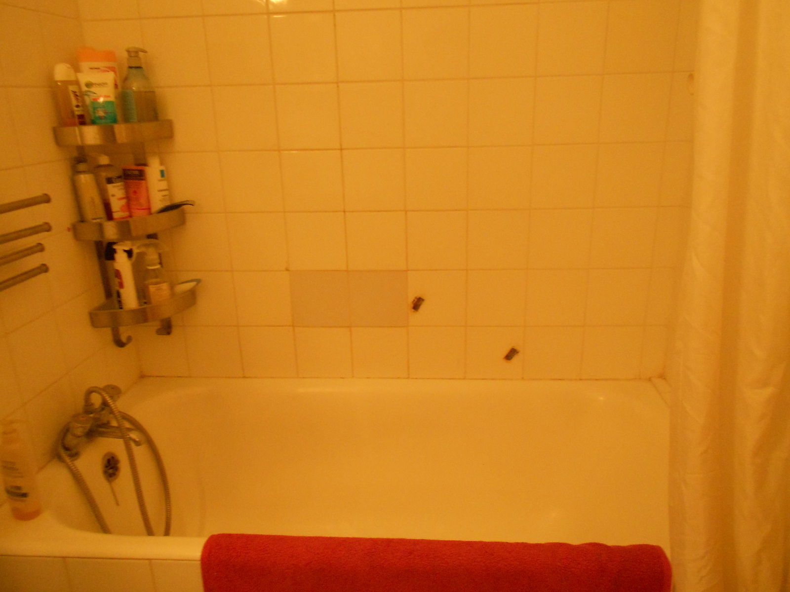 Gastfamilie Toulouse 40598